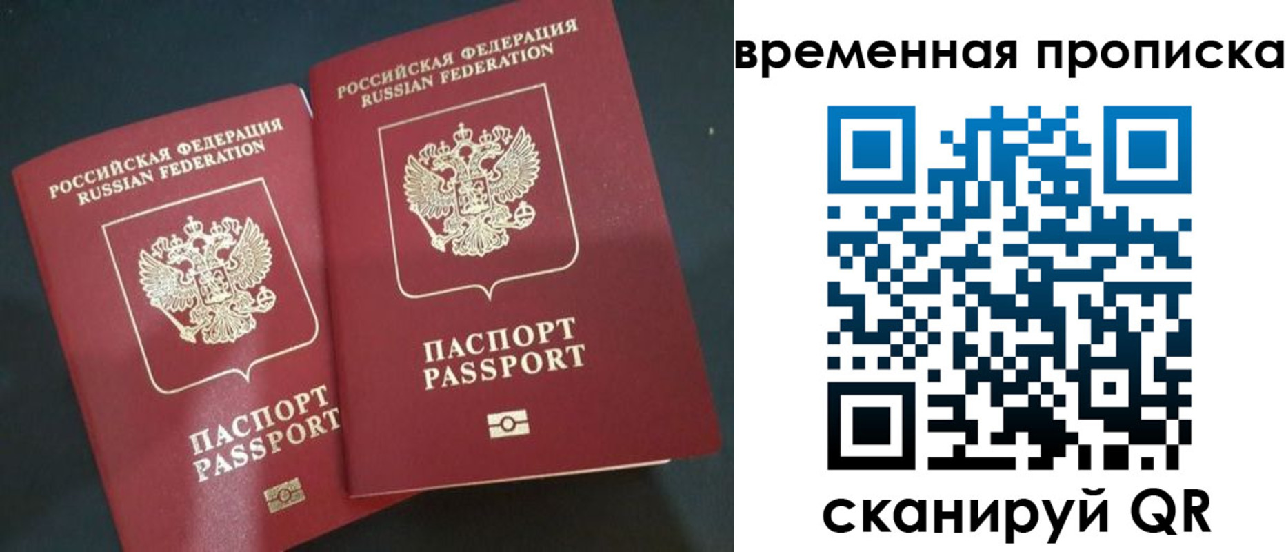 временная регистрация в Димитровграде
